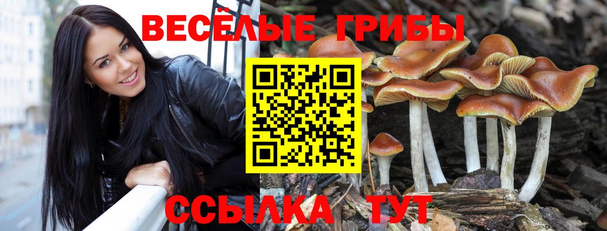 Галлюциногенные грибы мухоморы Сатка