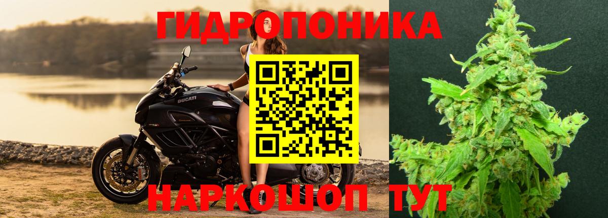 Шишки марихуана планчик  Шишки марихуана VHQ  Вход с VPN  Каннабис планчик  Сатка 